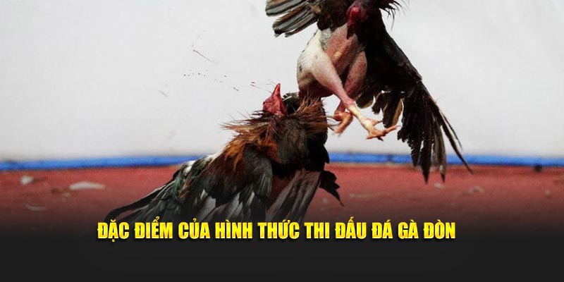 Mẹo cá cược đá gà đòn hay ho